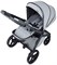 Детская коляска Anex l/type 2 в 1 lt-10t frost 541107766 - фото 3556