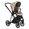 Детская коляска Roan Sol Кожа 2 в 1 RSL/2021 Caramel/Black/руч.Тем.коричневый 1626282205 - фото 36172