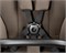 Коляска Peg Perego Veloce TC New Belvedere 2 в 1 Pine Bark 1253820164 - фото 36511