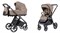 Коляска 2 в 1 Carrello Omega Plus CRL-6540/1 Asteroid Beige 1493394846 - фото 3652