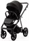 Детская коляска Adamex Delta Natura 2 в 1 DN-11-CARBON (ЧЕРНЫЙ) 1749284564 - фото 36821