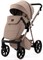 Детская коляска Adamex Delta Natura 2 в 1 DN-5-CAMEL (Т.БЕЖЕВЫЙ) 162819277 - фото 36868