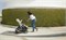 Коляска UPPAbaby Cruz V2 2 в 1 LUCY 548123833 - фото 37222
