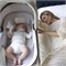 Коляска Inglesina Aptica System Duo 2 в 1 2025 Opal Ivory 1802188706 - фото 37534