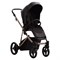 Детская коляска Bebetto Pelpasso Pro 2 в 1 03 черная кожа 1927155680 - фото 37604