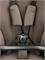 Коляска Peg Perego Veloce New Belvedere 2 в 1 Pine Bark 246831569 - фото 37878