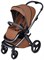 Детская коляска Anex l/type 2 в 1 lt-11t hazel 938938580 - фото 3818