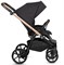 Детская коляска Tutis Leo Plus 3 в 1 1222201 Black 204778074 - фото 38404