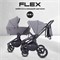 Детская коляска Rant Flex 2 в 1 RA076 Graphite 1271724018 - фото 3966