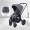 Детская коляска Rant Flex 2 в 1 RA076 Graphite 1271724018 - фото 3971