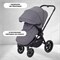 Детская коляска Rant Flex 2 в 1 RA076 Graphite 1271724018 - фото 3973