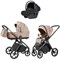 Коляска Carrello Vector 2025 CRL-6551 Nova DK791 Black Line 3 в 1 Mellow Beige 1399322403 - фото 40091