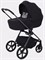 Детская коляска Rant Teo Black Chrome 2 в 1 Black 1923906087 - фото 4028