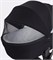 Детская коляска Rant Teo Black Chrome 2 в 1 Black 1923906087 - фото 4032