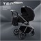 Детская коляска Rant Teo Black Chrome 2 в 1 Black 1923906087 - фото 4068