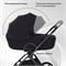 Детская коляска Rant Teo Black Chrome 2 в 1 Black 1923906087 - фото 4070