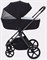 Детская коляска Rant Teo Black Chrome 2 в 1 Black 1923906087 - фото 4087