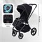 Детская коляска Rant Teo Black Chrome 2 в 1 Black 1923906087 - фото 4131