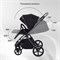 Детская коляска Rant Teo Black Chrome 2 в 1 Black 1923906087 - фото 4133