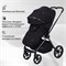 Детская коляска Rant Teo Black Chrome 2 в 1 Black 1923906087 - фото 4134