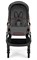 Коляска Inglesina Aptica Darwin i-Size System Quattro 4 в 1 2025 Velvet Grey 2053174073 - фото 43352