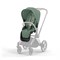 Коляска 3 в 1 Cybex Priam IV Rosegold и автокресло Cloud G i-Size Ocean Blue Plus Leaf Green 640071775 - фото 44236
