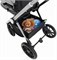 Детская коляска Sweet Baby Vento Silver 3 в 1 Silver Blue 463529076 - фото 45166