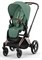 Коляска 3 в 1 Cybex Priam IV Rosegold complete и автокресло Cloud T i-Size Mirage Grey Leaf Green 1822862380 - фото 49700