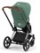 Коляска 3 в 1 Cybex Priam IV Chrome Brown complete и автокресло Cloud T i-Size Mirage Grey Leaf Green 1459680513 - фото 51628