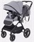 Детская коляска Rant Moss 2 в 1 Classic Grey 484348011 - фото 5214