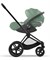 Коляска 3 в 1 Cybex Priam IV Matt Black complete и автокресло Cloud T i-Size Leaf Green Plus Off White 1283188237 - фото 52993