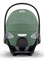Коляска 3 в 1 Cybex Priam IV Matt Black complete и автокресло Cloud T i-Size Leaf Green Plus Sepia Black 55767667 - фото 53104