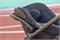 Коляска Carrello Vector CRL-6550 Nova DK791 Grey Line 3 в 1 Cupcake Beige 1553550681 - фото 54120