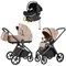 Коляска Carrello Vector 2025 CRL-6551 Nova DK791 Grey Line с базой Isofix 3 в 1 Mellow Beige 521822476 - фото 55016