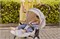 Коляска Chicco Bellagio 3 в 1 с автокреслом Kory Essential I-size Amber Glow 977099098 - фото 58333