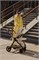 Коляска Chicco Bellagio 3 в 1 с автокреслом Kory Essential I-size Amber Glow 977099098 - фото 58340