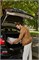 Коляска Chicco Bellagio 3 в 1 с автокреслом Kory Essential I-size Amber Glow 977099098 - фото 58387