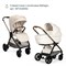 Коляска Chicco Bellagio 3 в 1 с автокреслом Kory Essential I-size Amber Glow 977099098 - фото 58394