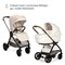 Коляска Chicco Bellagio 3 в 1 с автокреслом Kory Essential I-size Amber Glow 977099098 - фото 58396