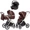 Коляска Carrello Vector CRL-6550 Ammonite AY329 Pro Absolute Black 3 в 1 Sienna Beige 796492799 - фото 58787