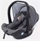 Детская коляска Rant Falcon 3 в 1 Grey 794510245 - фото 61799