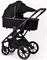 Детская коляска Peppy Tecla 3 в 1 Rose Black Черный 1430128461 - фото 63215