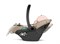 Коляска 3 в 1 Peg Perego Veloce Belvedere Lounge Mon Amour 822696385 - фото 64980