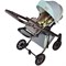 Детская коляска Anex e/type 3 в 1 wilson 1800048186 - фото 71083