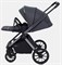 Детская коляска Rant Falcon Therm 3 в 1 Graphite 1222163192 - фото 73630