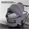 Детская коляска Rant Flex 3 в 1 RA077 Graphite 1545918552 - фото 73726