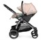 Коляска Peg Perego Veloce TC New Belvedere Lounge 3 в 1 Mon Amour 422397582 - фото 79327