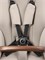 Коляска Peg Perego Veloce TC New Belvedere SLK 3 в 1 Astral 141450271 - фото 80058