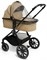 Коляска Agex Life 2 в 1 ALB269 Beige (Бежевый) 984817727 - фото 8088