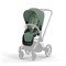 Коляска 2 в 1 Cybex Priam IV Rosegold complete Leaf Green 1965779114 - фото 8101